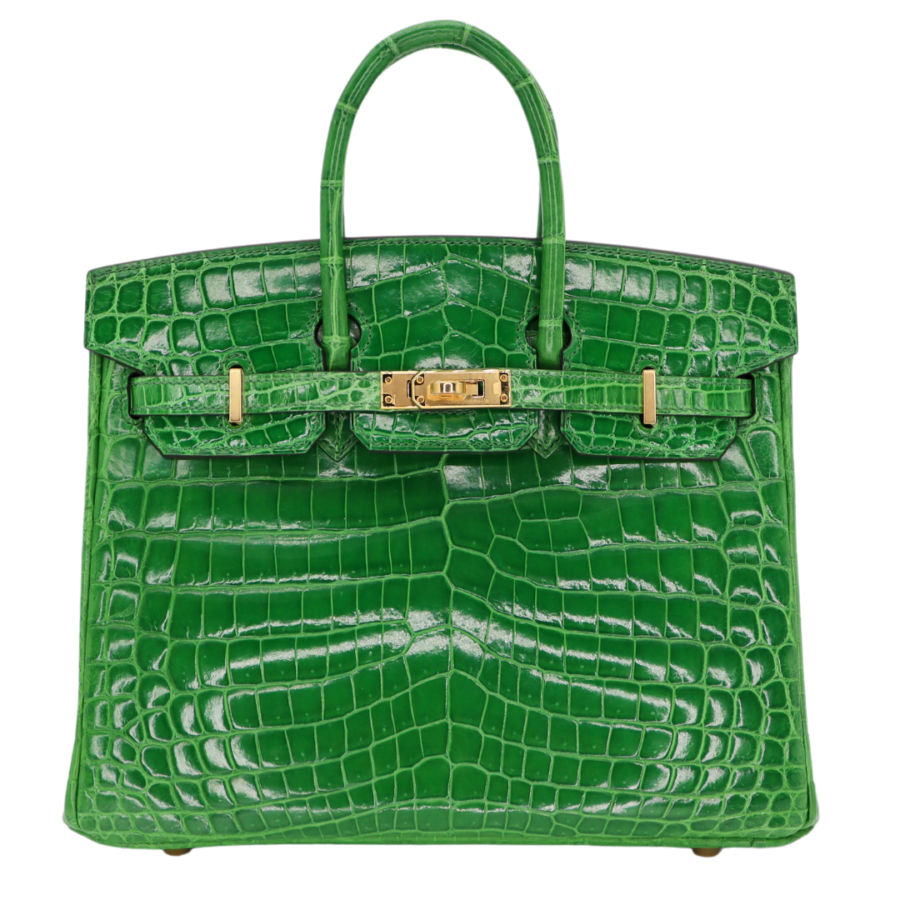 Hermes25cm Birkin Cactus Shiny Niloticus Crocodile Gold Hardware | Studio Nafay