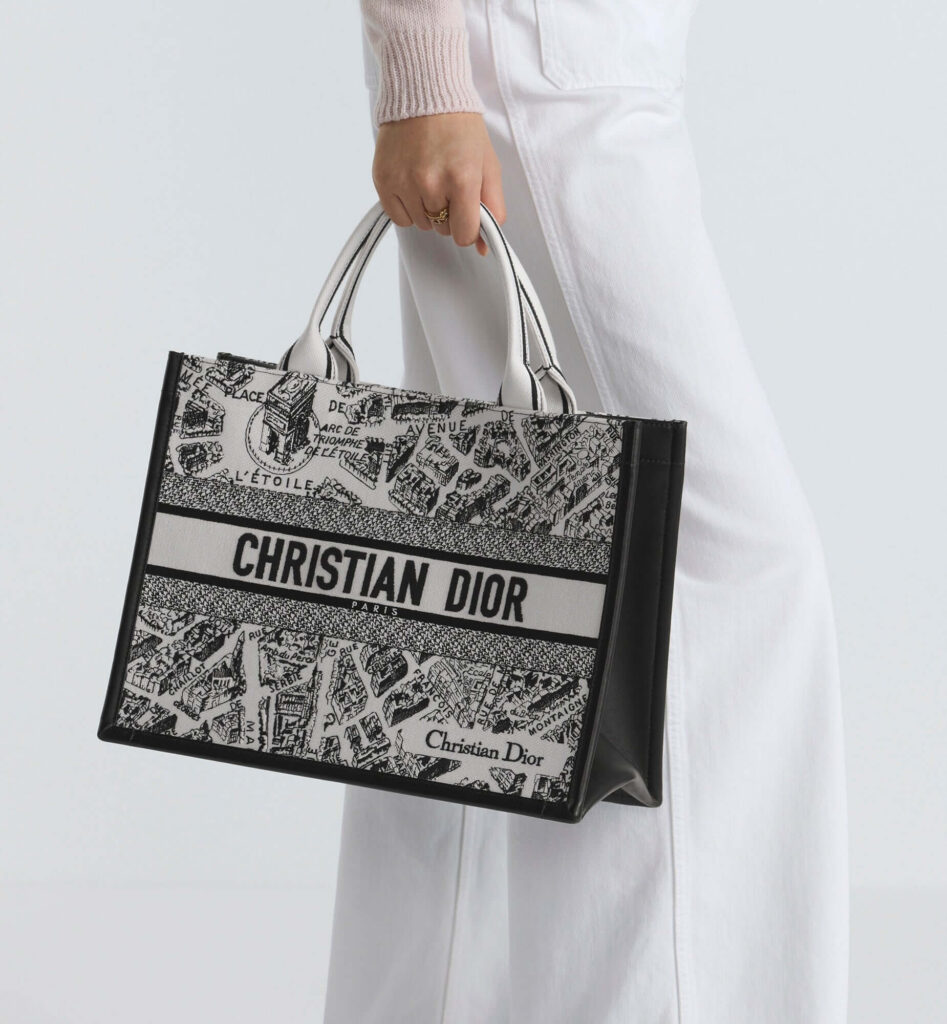 Dior Medium Dior Book Tote medium Plan de Paris - Product Image 2