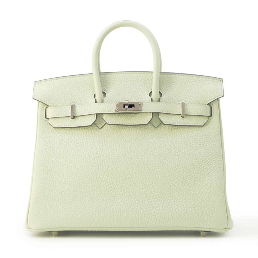 HERMES Birkin Grineve Togo Leather Size 25 | Studio Nafay