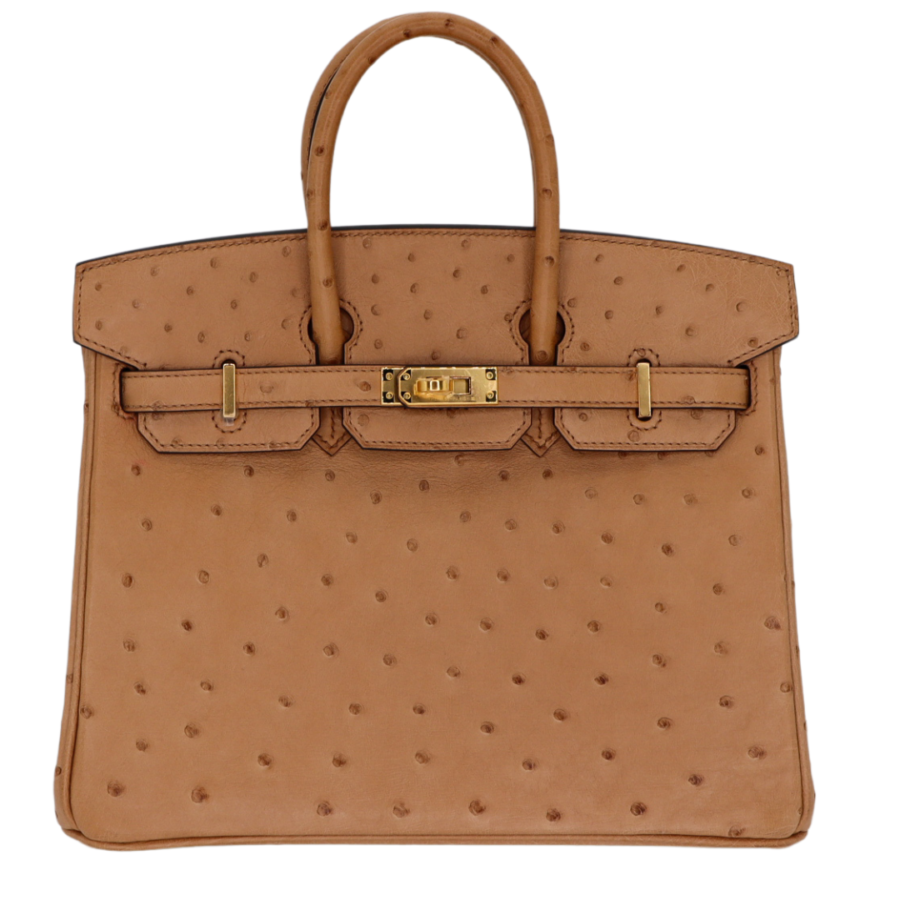Hermes25cm Birkin Chai Ostrich Gold Hardware | Studio Nafay