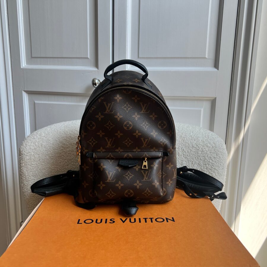 Louis Vuitton Palm Springs PM Backpack (RRP £1,860) | Studio Nafay