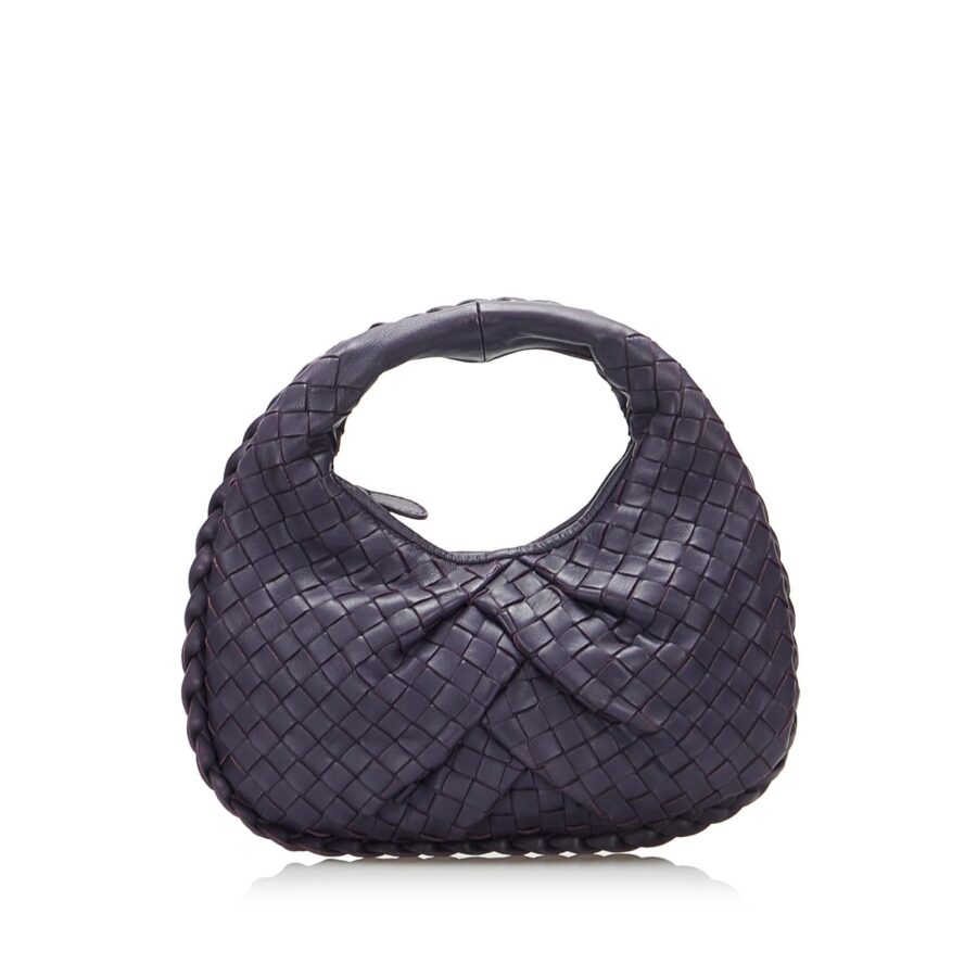 Bottega Veneta Intrecciato Pleated Mini Veneta | Studio Nafay