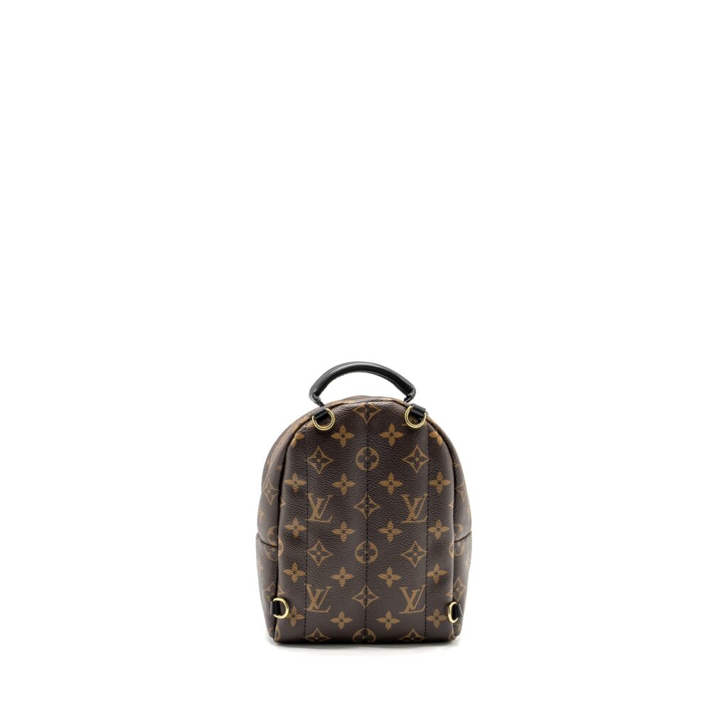 Louis Vuitton Palm Spring Mini Backpack Monogram Canvas GHW
