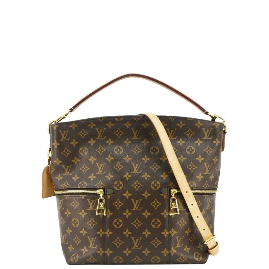 LOUIS VUITTON Melie Monogram Canvas Hobo Bag Brown | Studio Nafay
