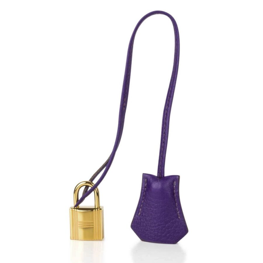 Hermes Birkin 35 Bag HSS Iris Bois de Rose Gold Hardware | Studio Nafay