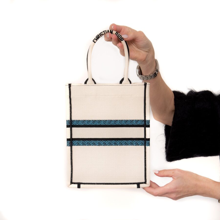 Dior Lucky Star Mini Book Tote Bag | Studio Nafay