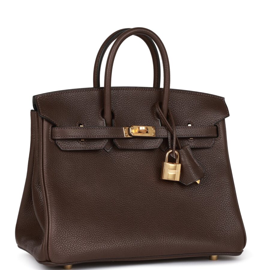 Hermes Birkin 25 Ebene Barenia Faubourg Gold Hardware | Studio Nafay