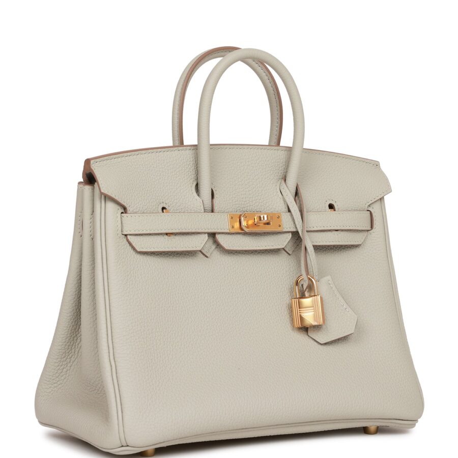 Hermes Birkin 25 Gris Perle Togo Gold Hardware | Studio Nafay