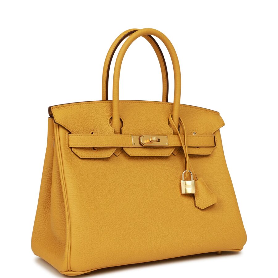 Hermes Birkin 30 Jaune Ambre Clemence Gold Hardware | Studio Nafay