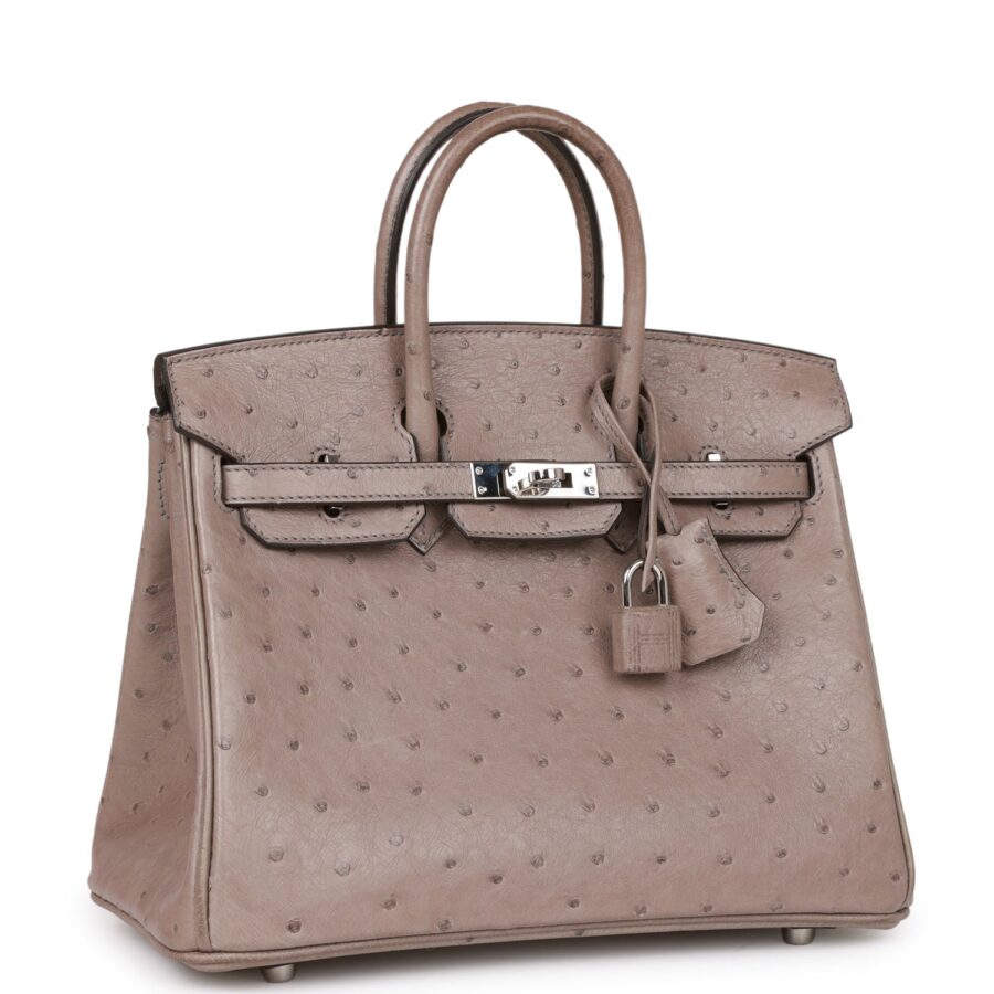 Hermes Birkin 25 Gris Tourterelle Ostrich Palladium Hardware | Studio Nafay