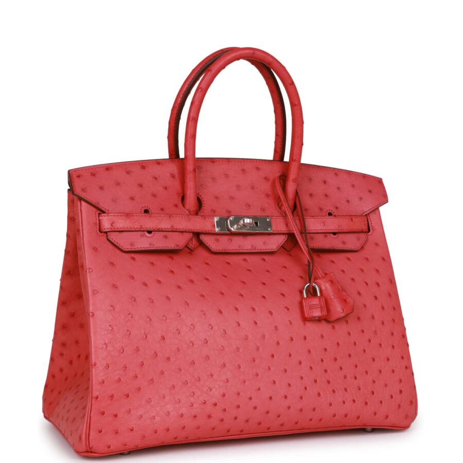 Hermes Birkin 35 Bougainvillea Ostrich Palladium Hardware | Studio Nafay