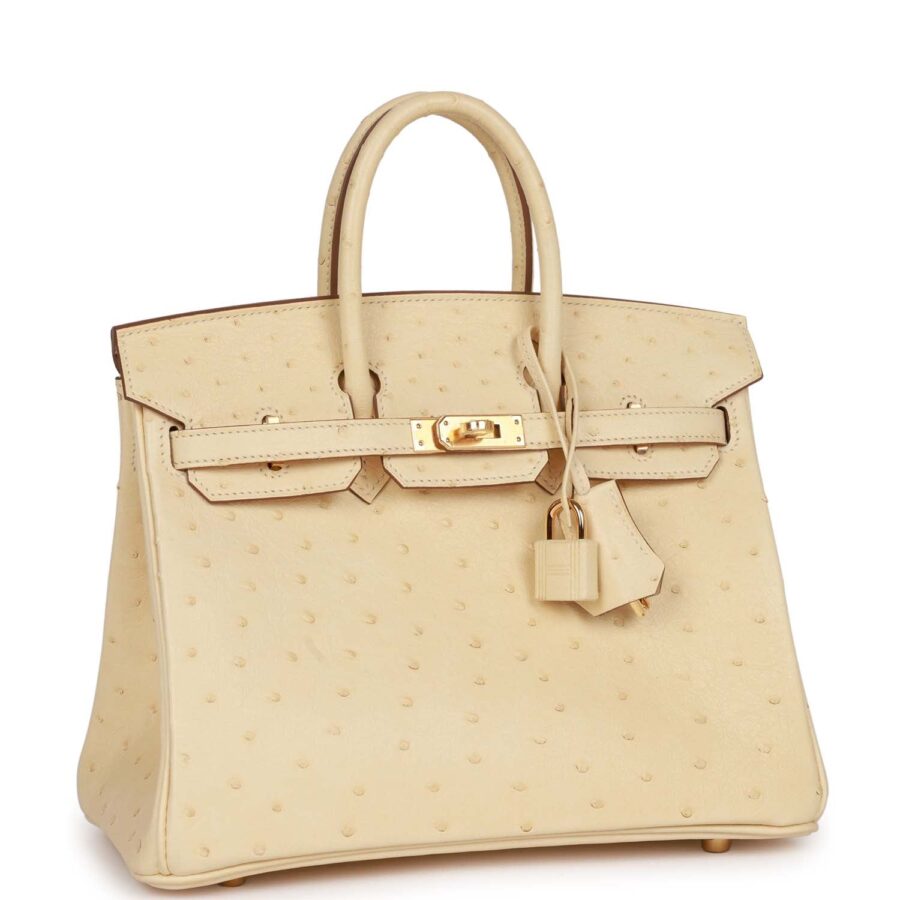 Hermes Birkin 25 Vanille Ostrich Boreal Gold Hardware | Studio Nafay
