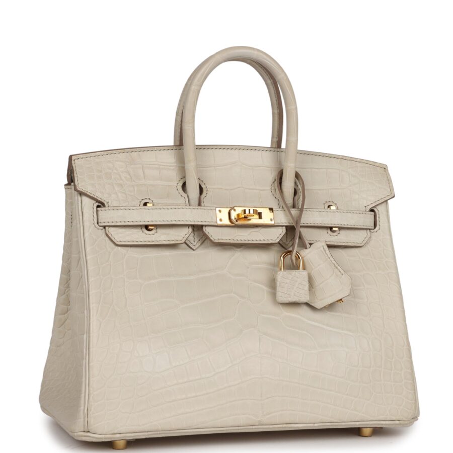 Hermes Birkin 25 Beton Matte Alligator Gold Hardware | Studio Nafay
