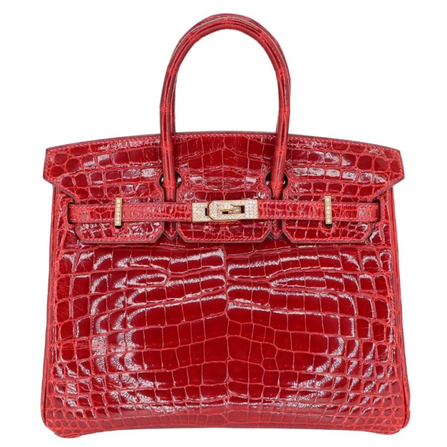 Hermes25cm Birkin Braise Shiny Niloticus Crocodile Yellow Gold Diamond Hardware | Studio Nafay