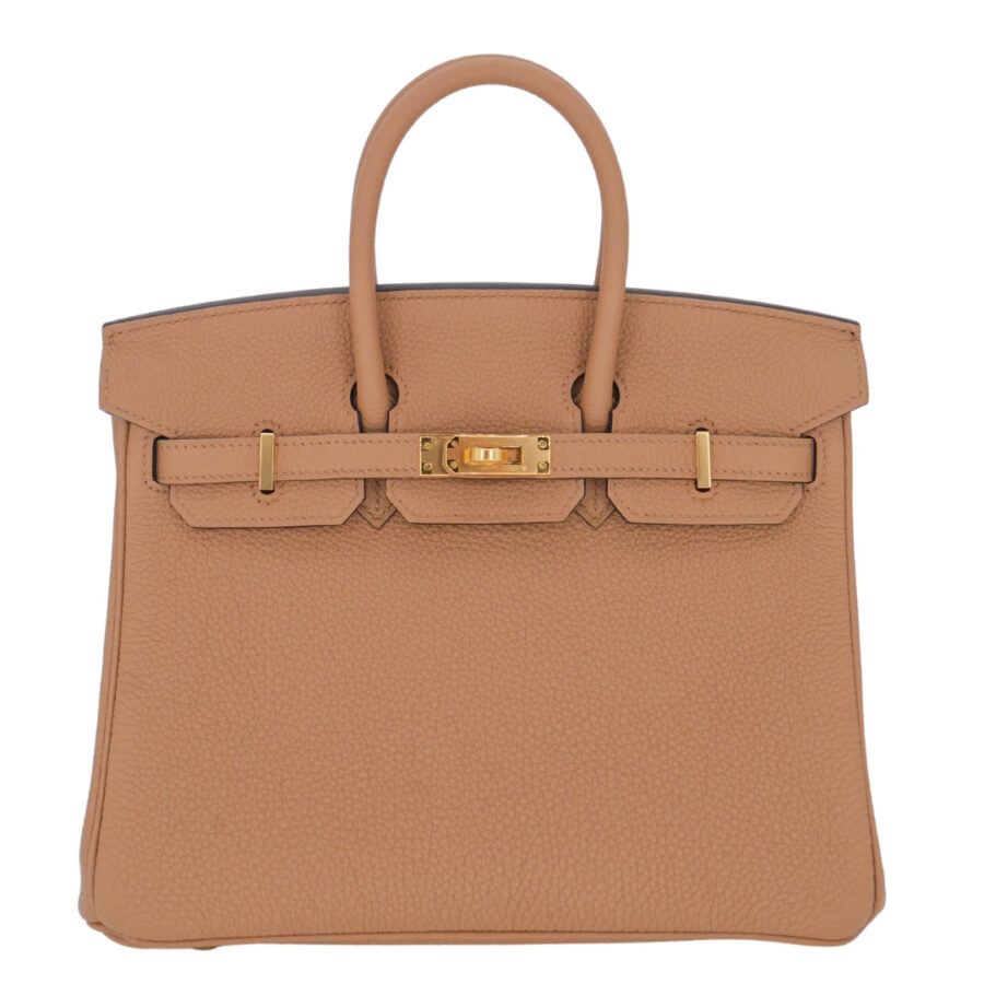 Hermes25cm Birkin Chai Togo Leather Gold Hardware | Studio Nafay
