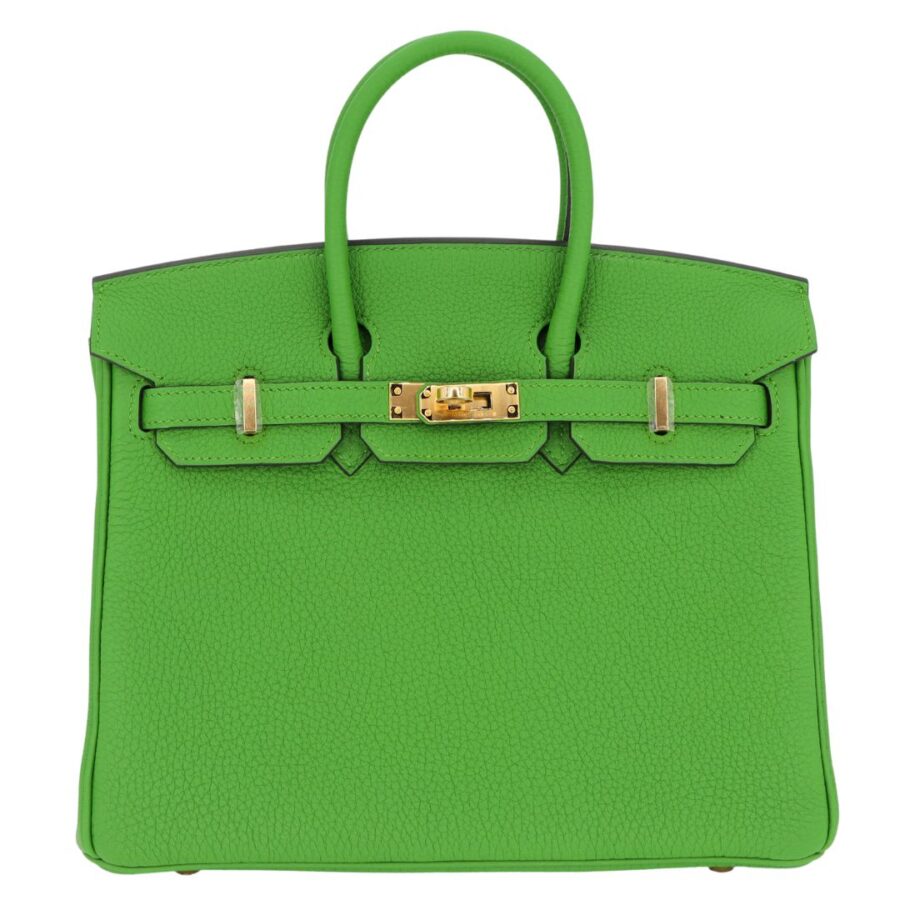 Hermes25cm Birkin Vert Yucca Togo Leather Gold Hardware | Studio Nafay