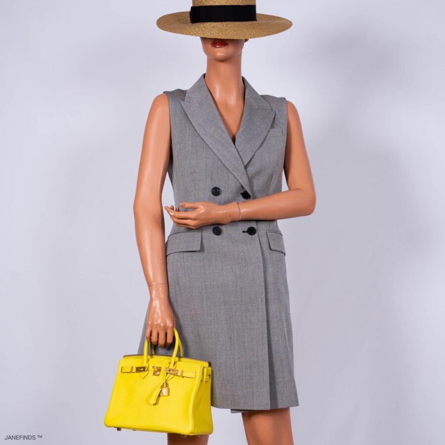 Hermes Birkin 25 Lime Swift Leather Gold Hardware -, D | Studio Nafay