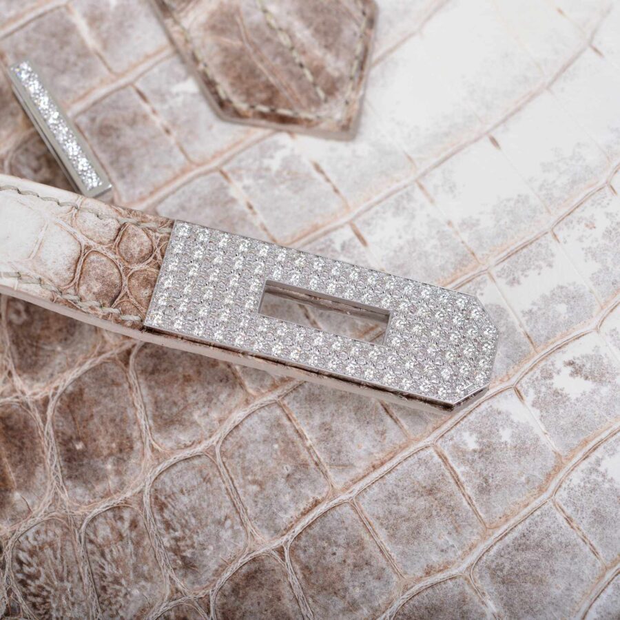 Hermes Birkin 30 Matte Himalayan Niloticus Crocodile with Diamonds & White Gold Hardware | Studio Nafay