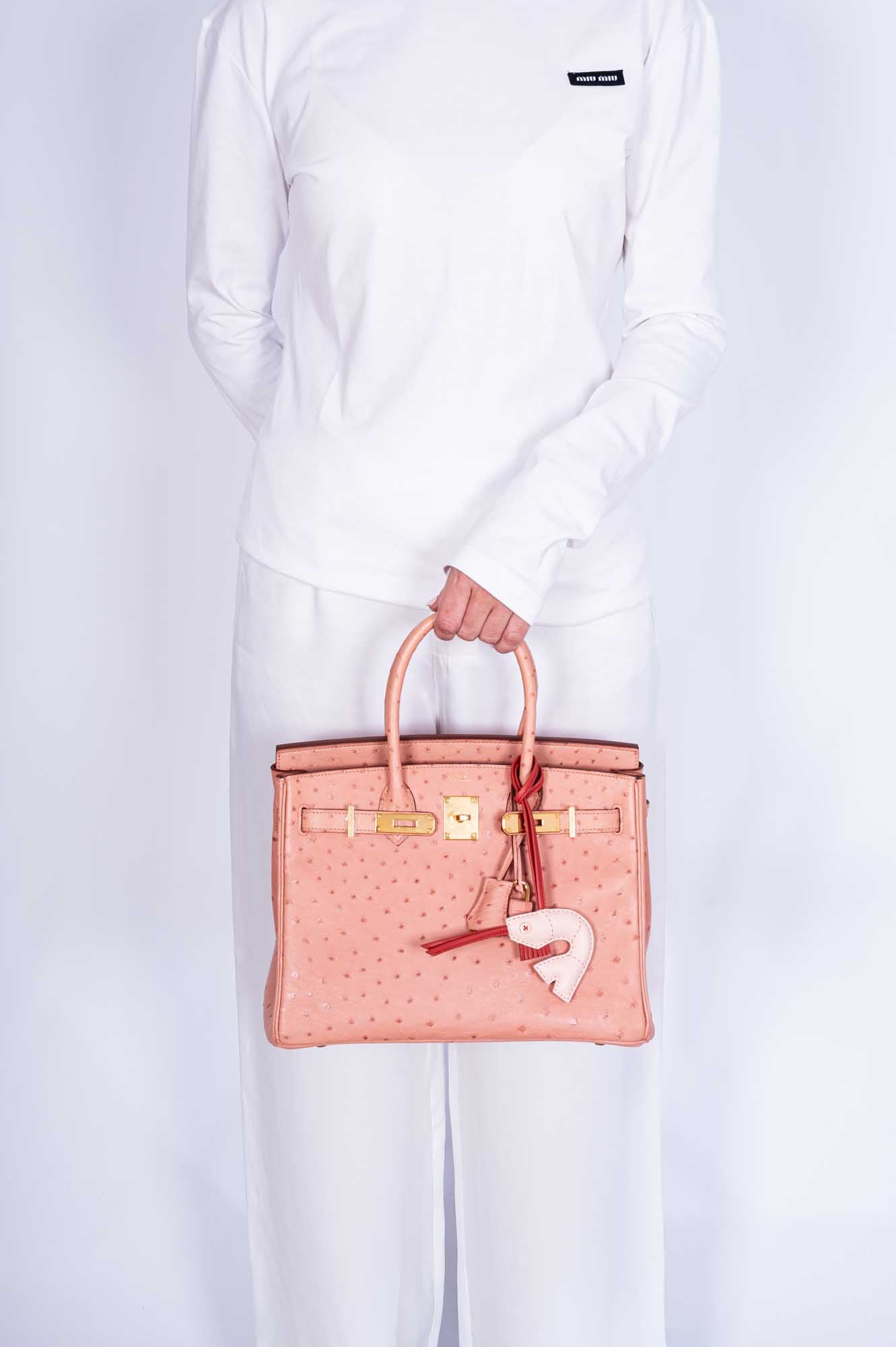 HermesBirkin 30 Terre Cuite Ostrich Gold Hardware