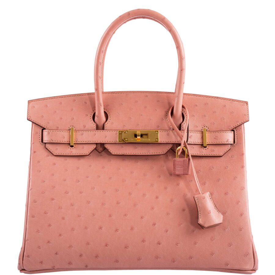HermesBirkin 30 Terre Cuite Ostrich Gold Hardware -, Y | Studio Nafay