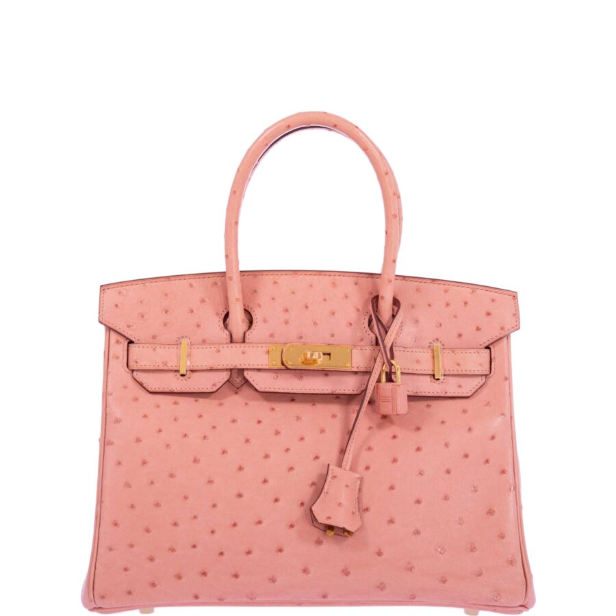 HermesBirkin 30 Terre Cuite Ostrich Gold Hardware | Studio Nafay