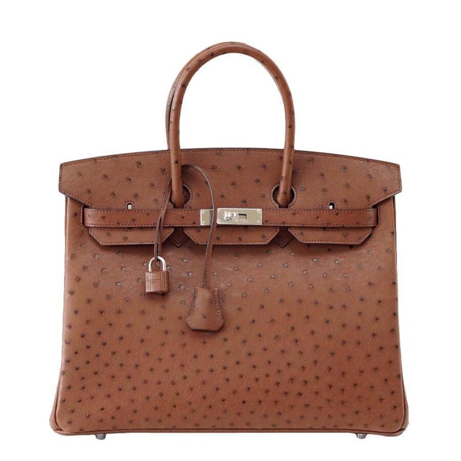 HermesBirkin 35 Ostrich Etrusque Bag PHW | Studio Nafay