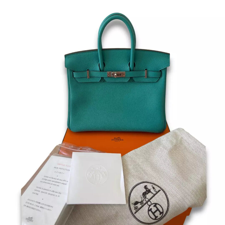 HERMÈS BIRKIN 25 VERT VERONE VERSO TAURILLON NOVILLO BAG | Studio Nafay