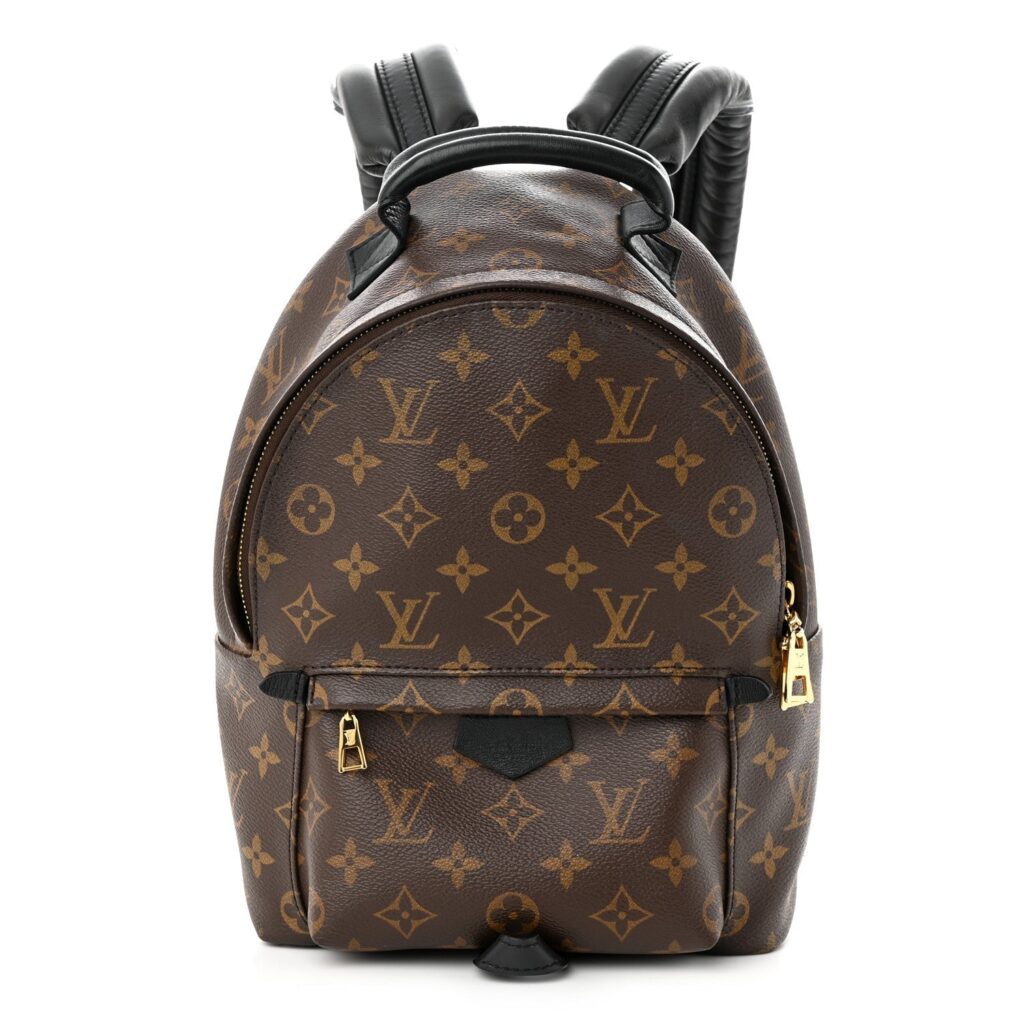 LOUIS VUITTON MONOGRAM PALM SPRINGS BACKPACK PM - Product Image 2