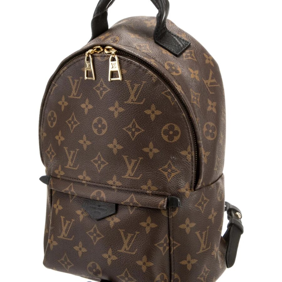 LOUIS VUITTON MONOGRAM PALM SPRINGS BACKPACK PM | Studio Nafay