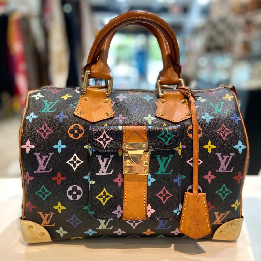 LIMITED EDITION MULTICOLOR MONOGRAM SPEEDY 30 HANDBAG | Studio Nafay