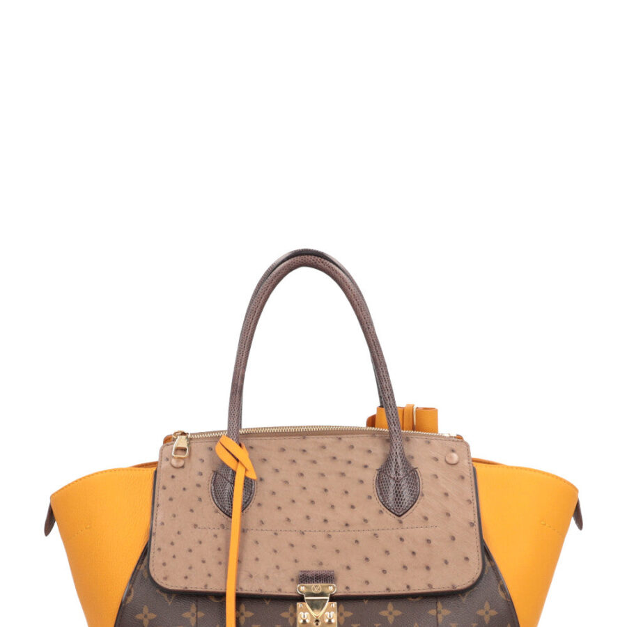 LOUIS VUITTON MM Majestueux Tote Bag | Studio Nafay