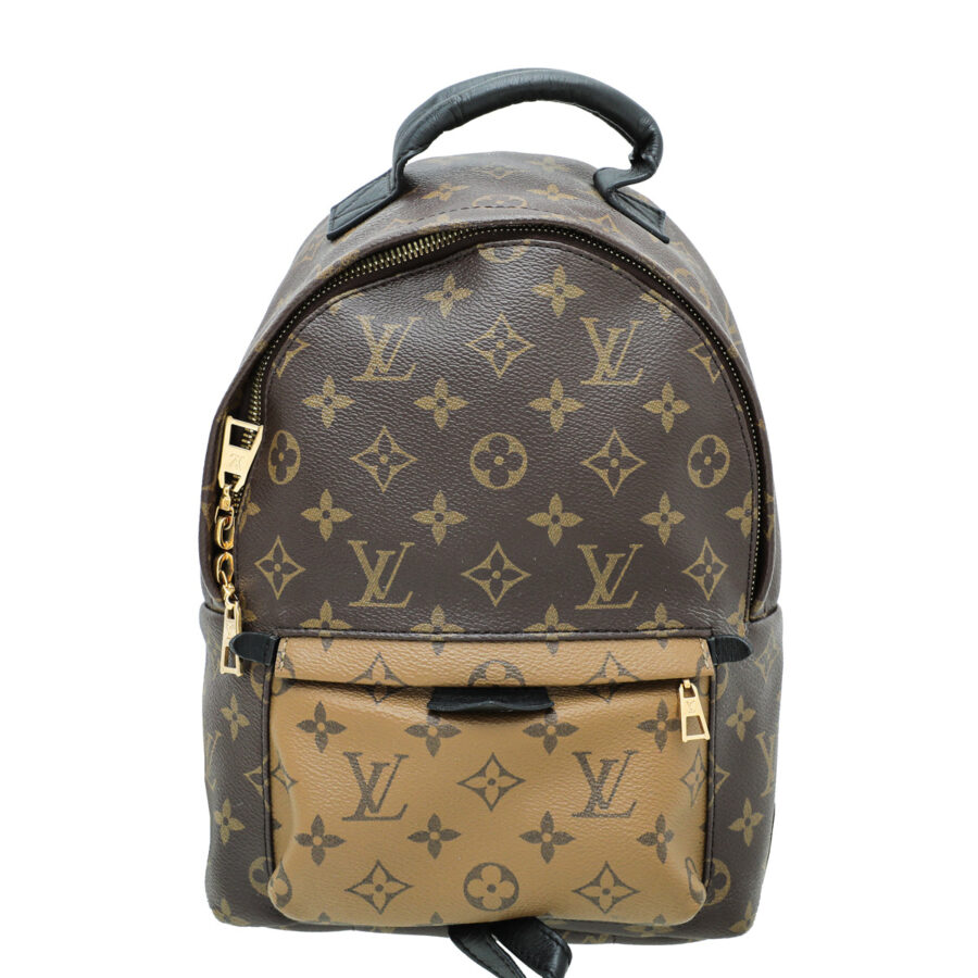 Louis Vuitton Monogram Reverse Palm Spring Small Backpack Bag | Studio Nafay