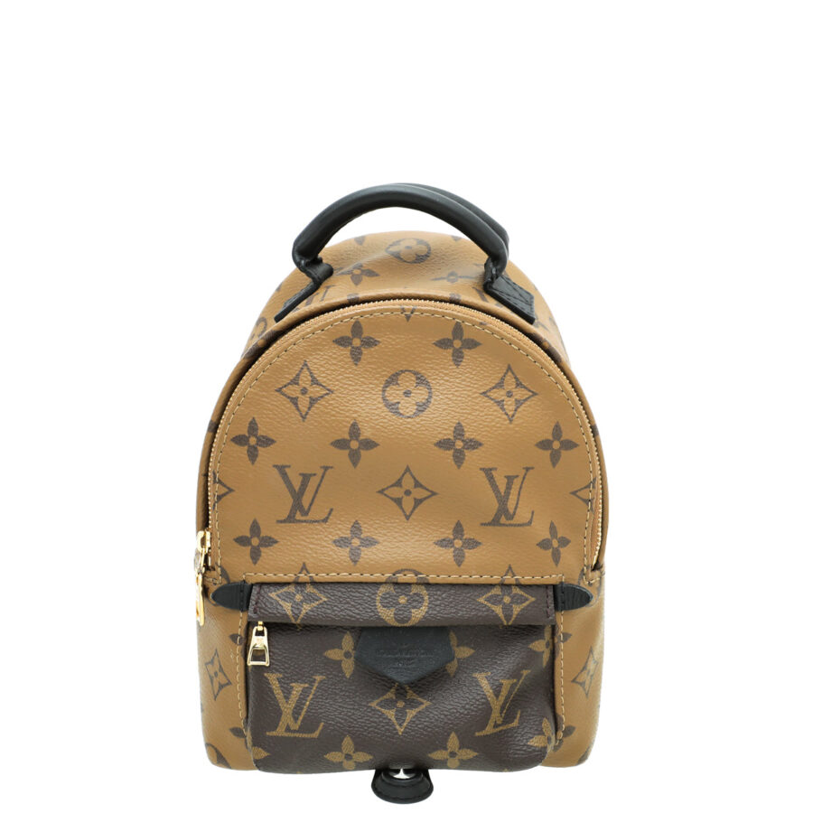 Louis Vuitton Monogram Reverse Palm Spring Mini Backpack Bag | Studio Nafay