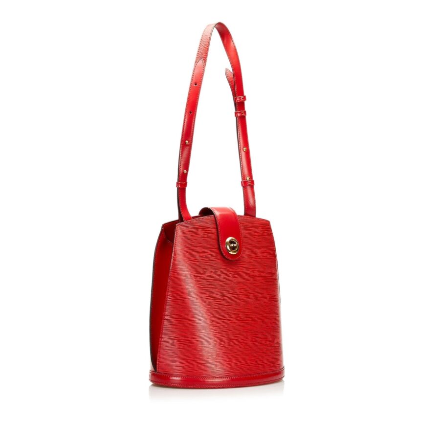 Louis Vuitton Epi Cluny | Studio Nafay
