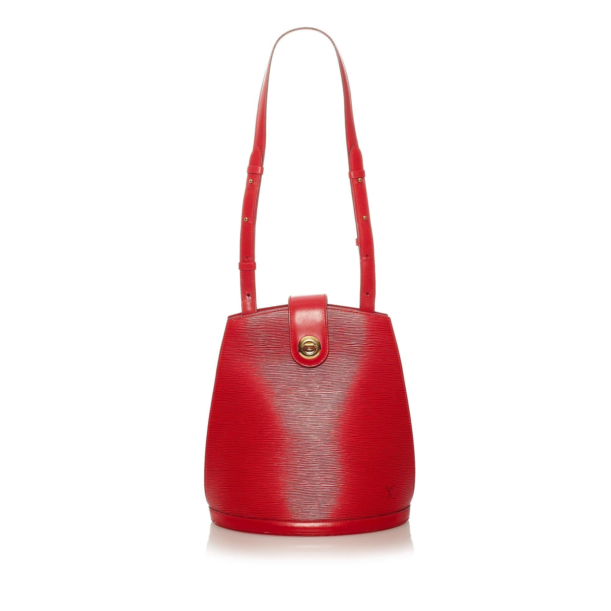 Louis Vuitton Epi Cluny