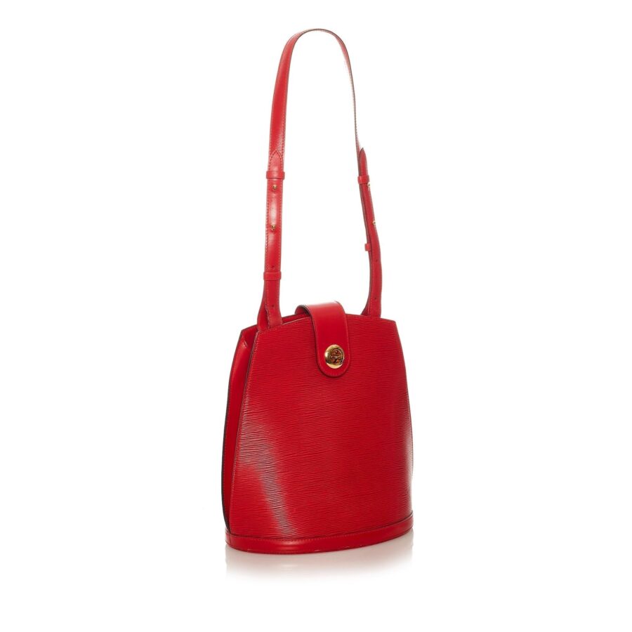 Louis Vuitton Epi Cluny | Studio Nafay