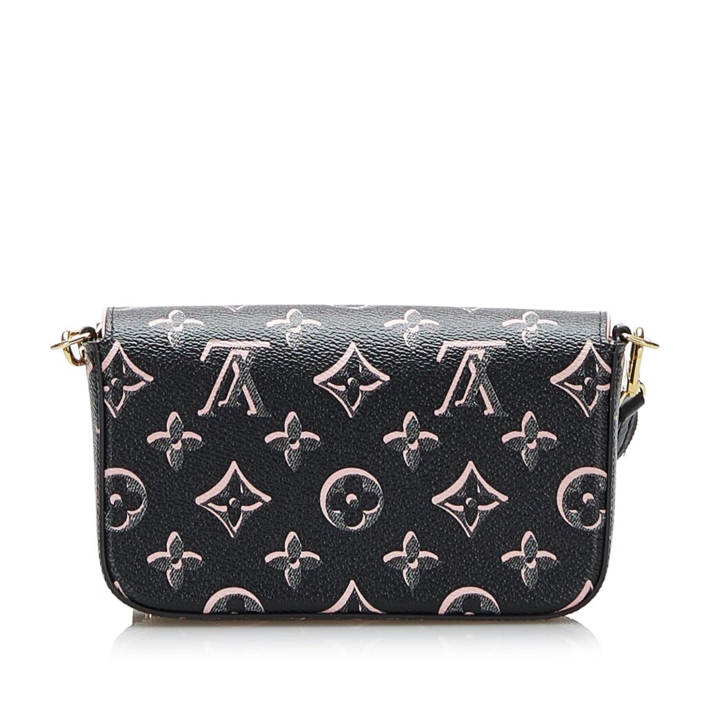 Louis Vuitton Monogram Fall For You Felicie Strap and Go - Product Image 2