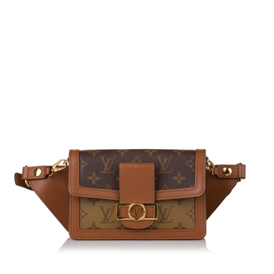 Louis Vuitton Monogram Giant Reverse Dauphine Bumbag | Studio Nafay