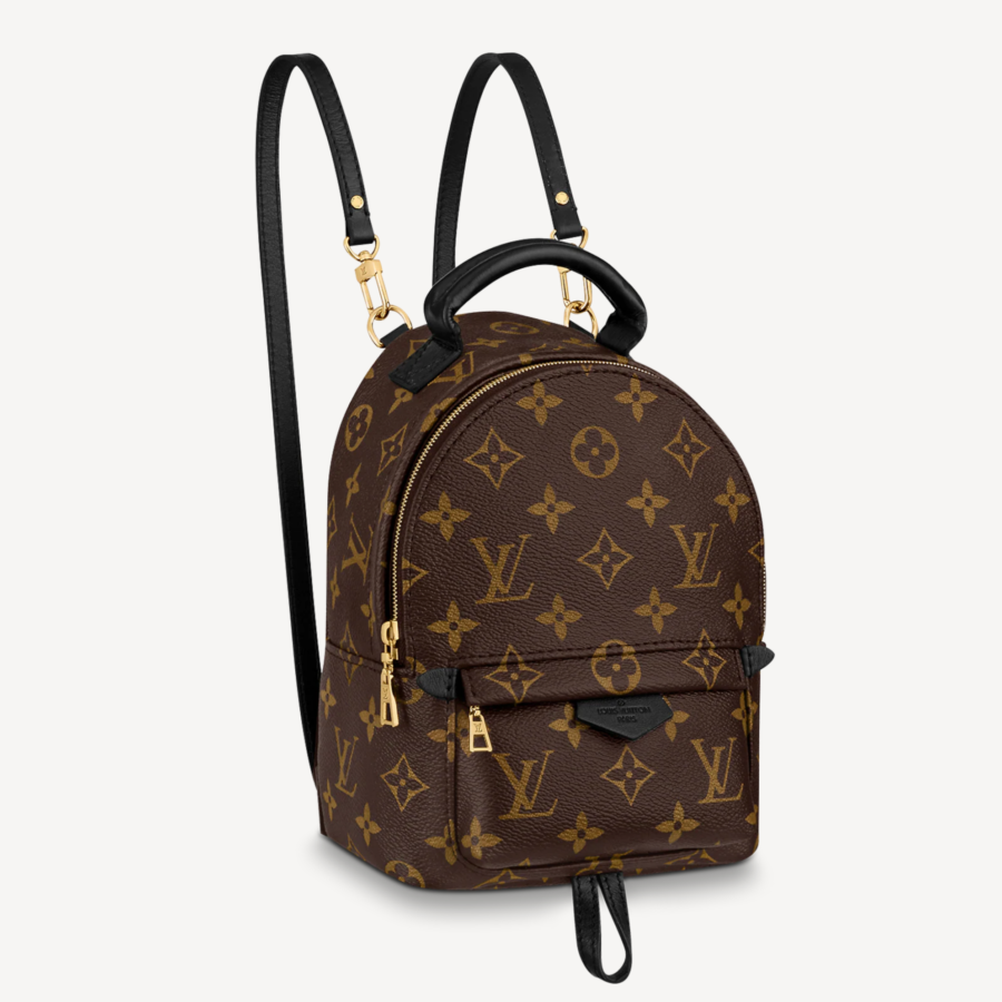 LOUIS VUITTON MONOGRAM PALM SPRINGS MINI BACKPACK | Studio Nafay