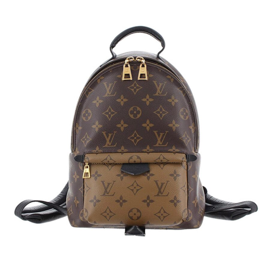 Louis Vuitton Monogram Reverse Palm Springs PM | Studio Nafay