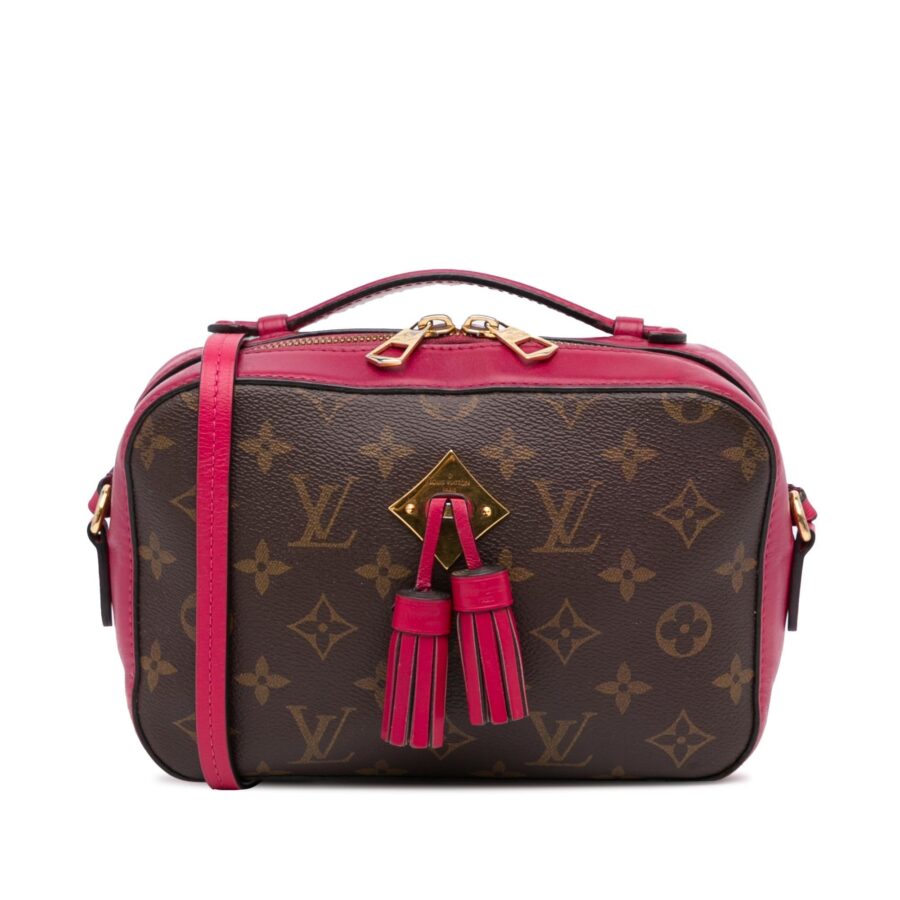 Louis Vuitton Monogram Saintonge | Studio Nafay