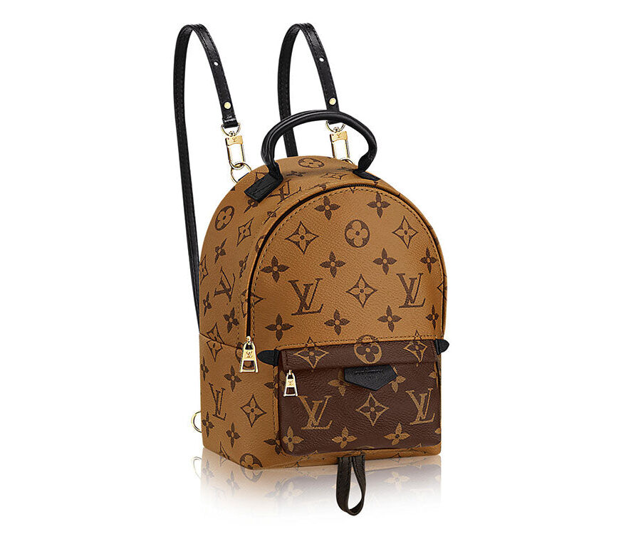 LOUIS VUITTON MONOGRAM REVERSE PALM SPRING MINI BACKPACK | Studio Nafay