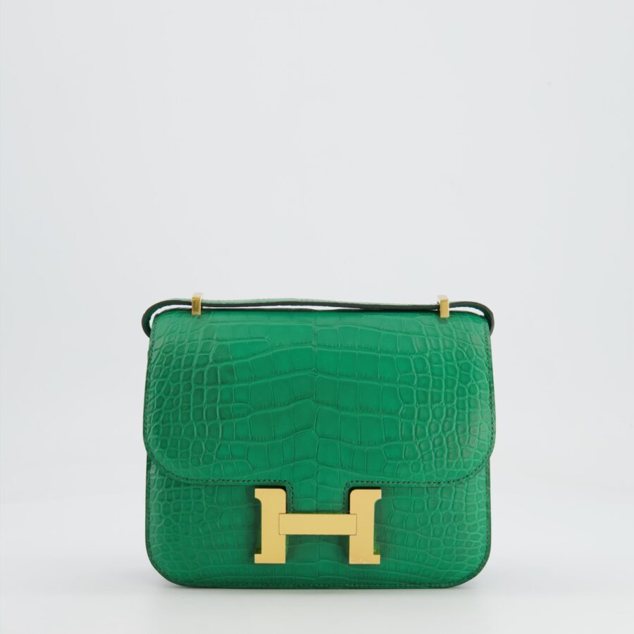 *STORE FRESH* Hermes Constance III 18 Bag in Cactus Alligator Mississippiensis Leather with Gold Hardware | Studio Nafay