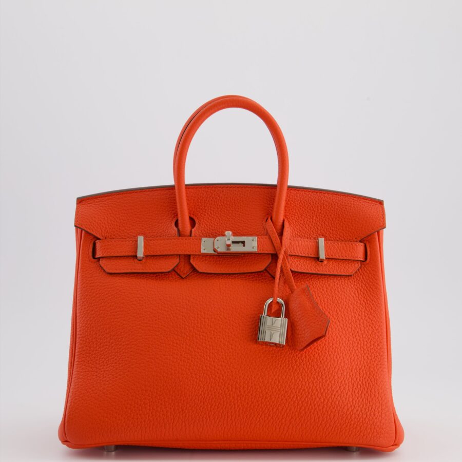Hermes Birkin 25 Retourne Bag in Capucine Togo Leather and Palladium Hardware | Studio Nafay