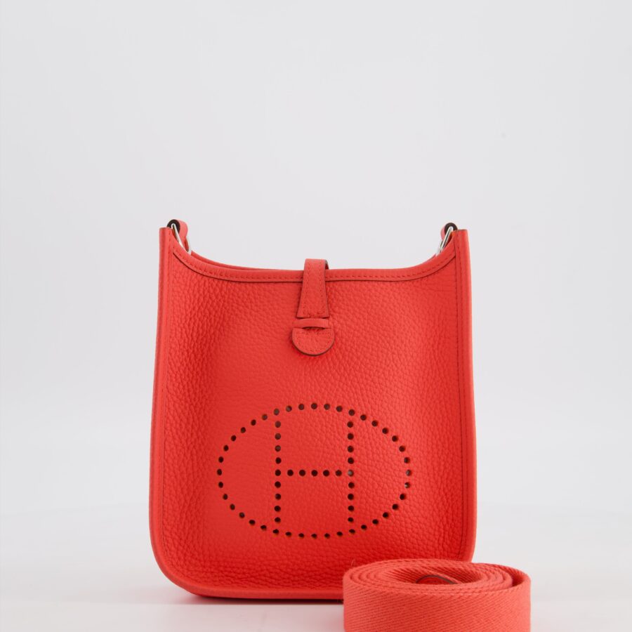 Hermes Mini Evelyne Bag in Rose Texas Clemence Leather with Palladium Hardware | Studio Nafay