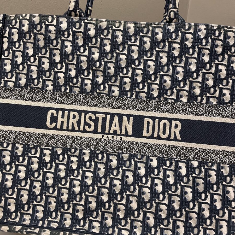 Dior Book Tote Blue Oblique | Studio Nafay