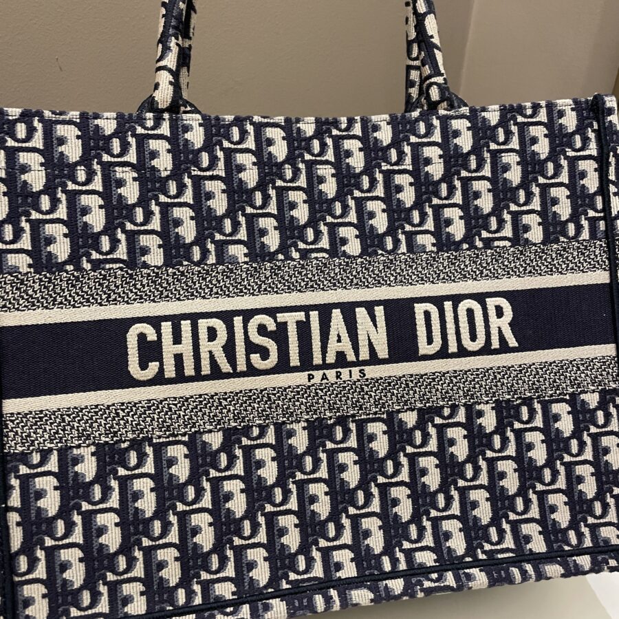 Dior Toile De Jouy Book Tote Blue Oblique | Studio Nafay