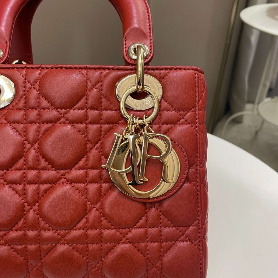 Lady Dior My ABC Dior Rust Lambskin | Studio Nafay