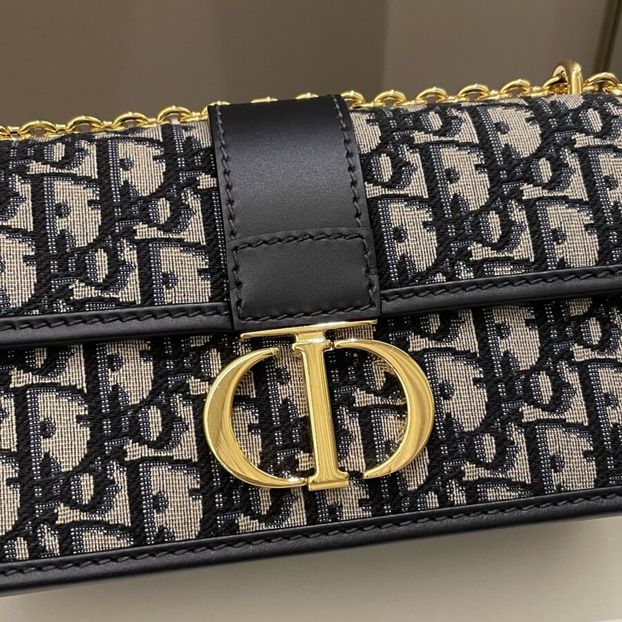 Dior 30 Montaigne East West Blue Oblique | Studio Nafay