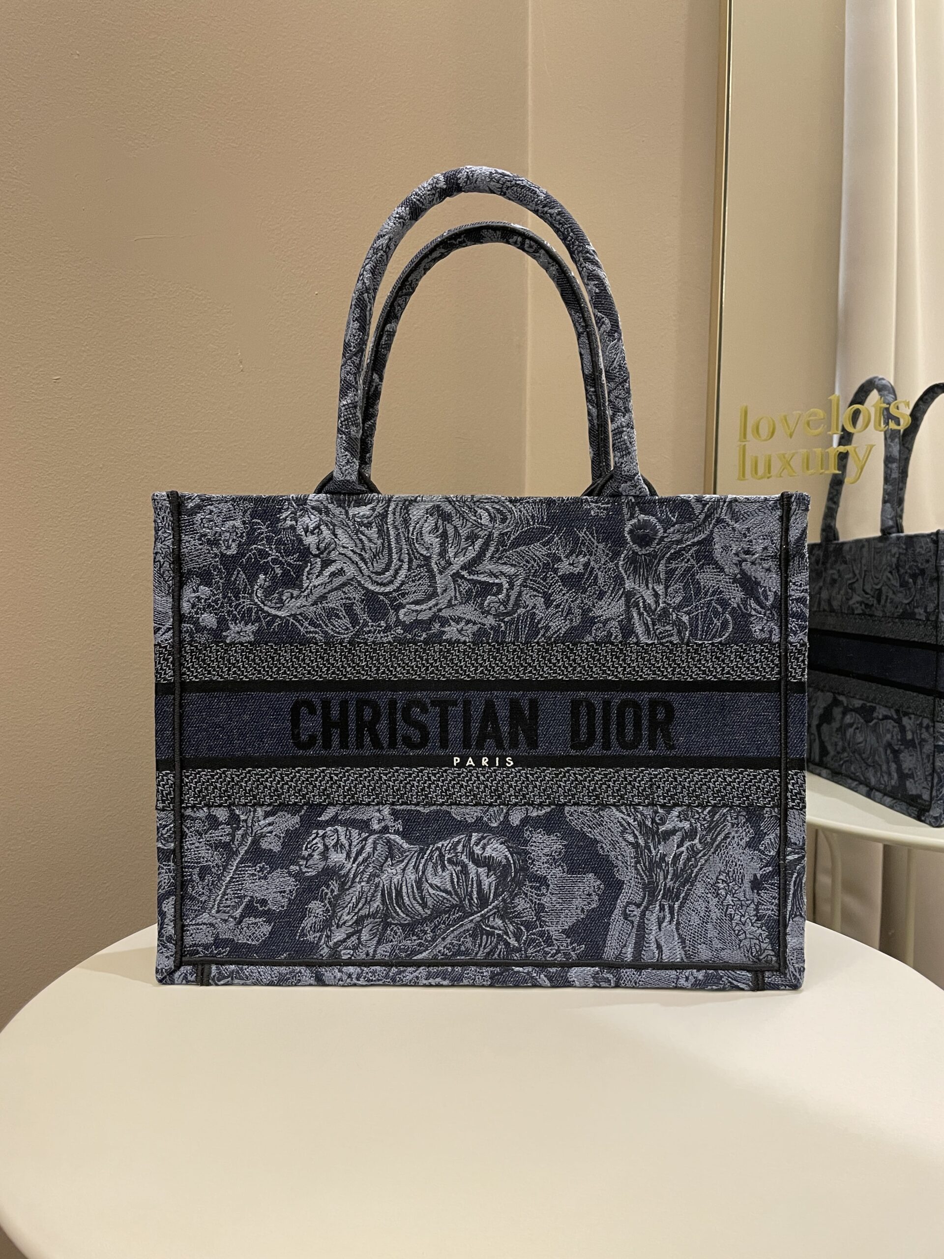 Dior Toile de Jouy Reverse Book Tote Stole Blue / Embroidery